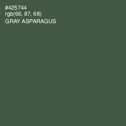 #425744 - Gray Asparagus Color Image
